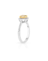 inel de logodna aur 18 kt halo pave cu diamante RG102921-418-WY