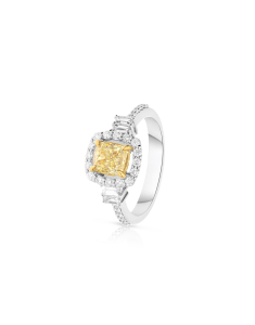 Agnes Gray Frank fame Bijuterii din aur cu diamante si pietre pretioase- Bijuterii de lux | inele  | verighete | inele de logodna | cercei | bratari | coliere | perle | butoni