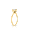inel de logodna aur 14 kt bouquet cu diamante RG097743-214-Y