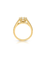inel de logodna aur 14 kt bouquet pave cu diamante RG068251-214-Y