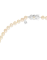 colier Mikimoto Basic aur 18 kt cu perle de cultura U65716W-PW